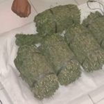 Polisi Hadang Mobil Pick Up Bermuatan Ganja di Nagan Raya