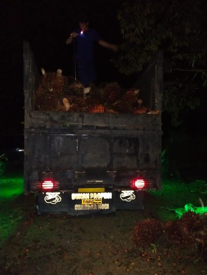 
					Curi Sawit Hingga 6 Ton Lebih, Pria ini Terpaksa Berurusan dengan Polisi