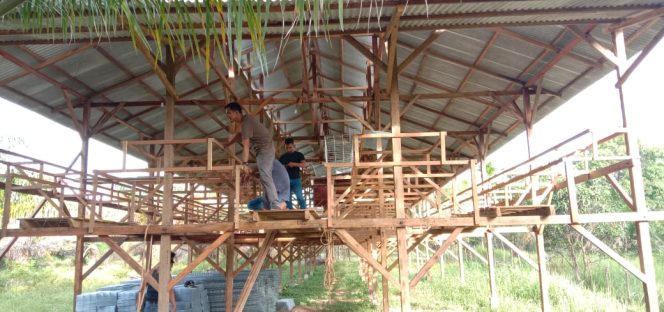 
					Owner Haziq Farm: Bila Ditekuni BUMG Bisa Meraih Penghasilan 1,4 Milyar Lebih Pertahunnya