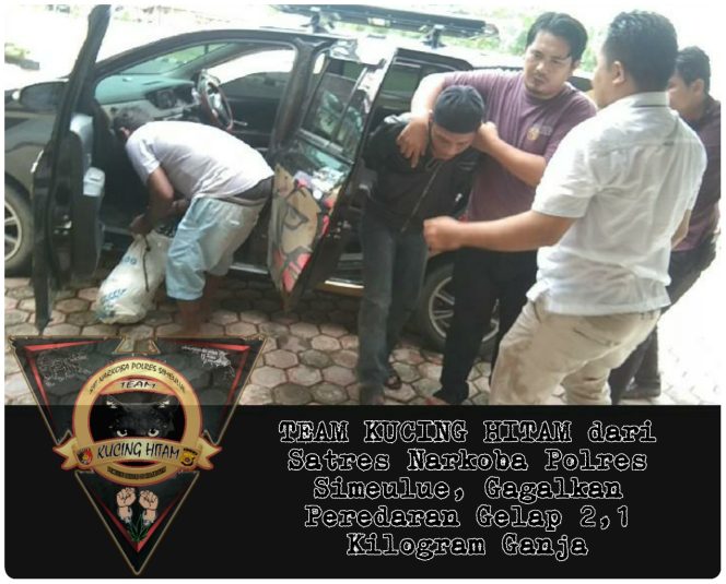 
					Team Kucing Hitam Polres Simeulue, Gagalkan Peredaran Gelap 2,1 Kilogram Ganja