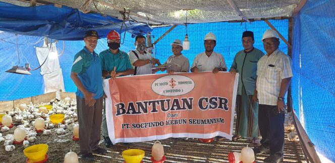 
					CSR PT Socfindo Seumanyam, Kelompok “Ternak Jaya” Terima Ratusan Bibit Ayam 