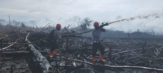 
					Brimob Polda Aceh dan Tim Terpadu Melaksanakan Patroli Karhutla di Darul Makmur