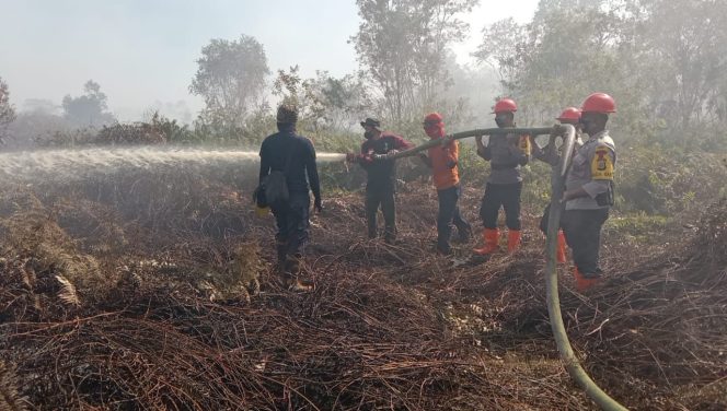 
					Brimob dan Tim Terpadu Padamkan Api Seluas 5 Hektar di Aceh Barat