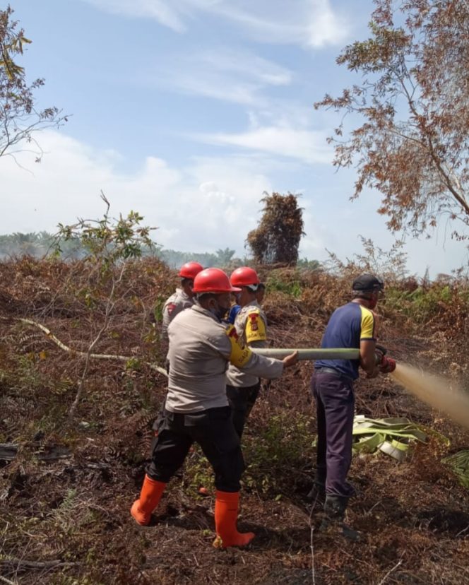 
					Brimob Berjibaku Padamkan Api di Aceh Barat