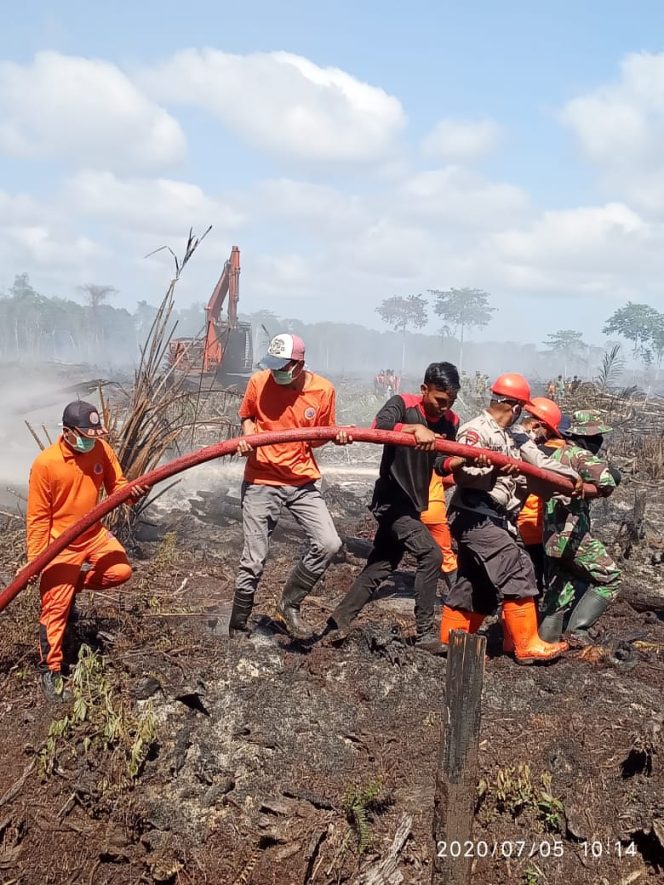 
					Lahan 10 Hektar di Tadu Dibakar, Brimob dan Tim Terpadu Dikepung Asap Saat Padamkan Api