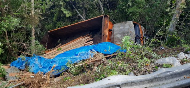 
					Truck Bawa Kayu Terjun ke Jurang Gunung Geurute