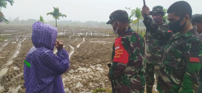 
					Dandim 0115/Simeulue Tinjau Lokasi Lahan dan Tanam Padi 1000 Hektar