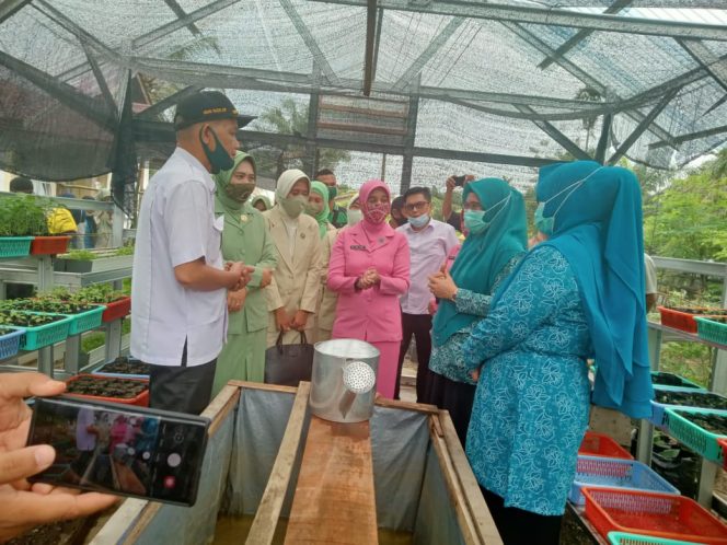 
					Melalui KWT Diharapkan Dapat Berinovasi dan Berkontribusi untuk Kesejahteraan Keluarga