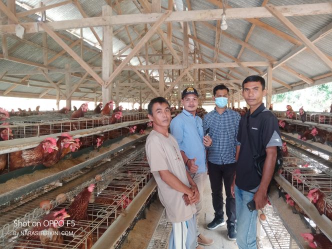 
					Haziq Farm Gandeng BUMG di Aceh Selatan untuk Usaha Ayam Petelur