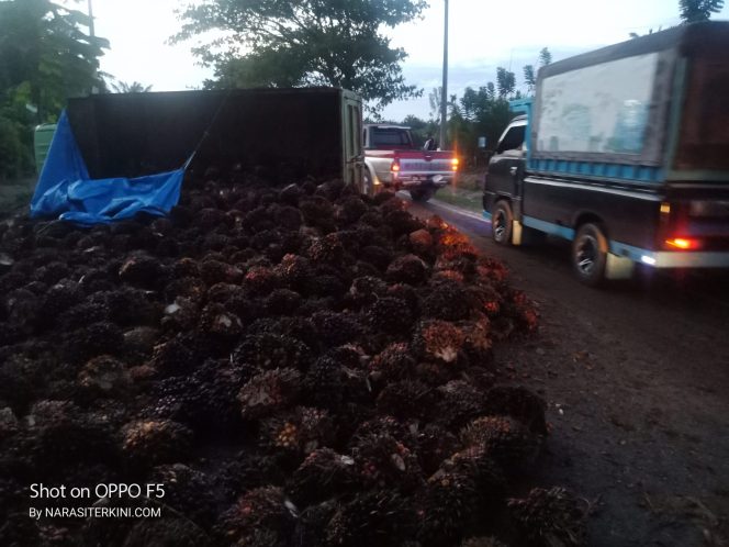
					Pecah Ban, Truck Pengangkut Sawit dari Aceh Jaya Terbalik di Nagan Raya