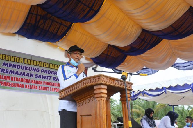 
					Saat Harga Anjlok, Bupati Nagan Raya Diisukan Bisa Monopoli Harga Sawit