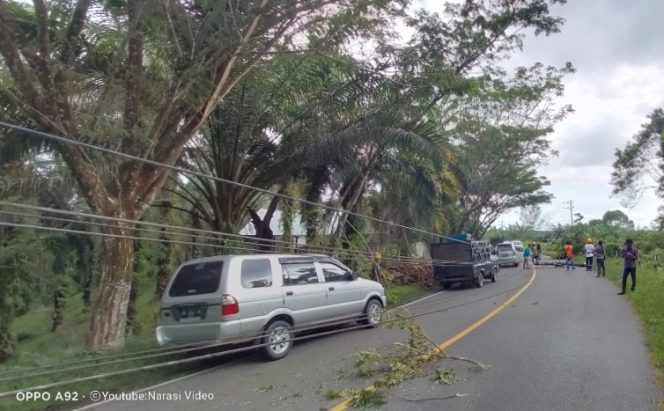 
					Tiang PLN Tumbang, Listrik Padam di Sebagian Wilayah Tadu Raya