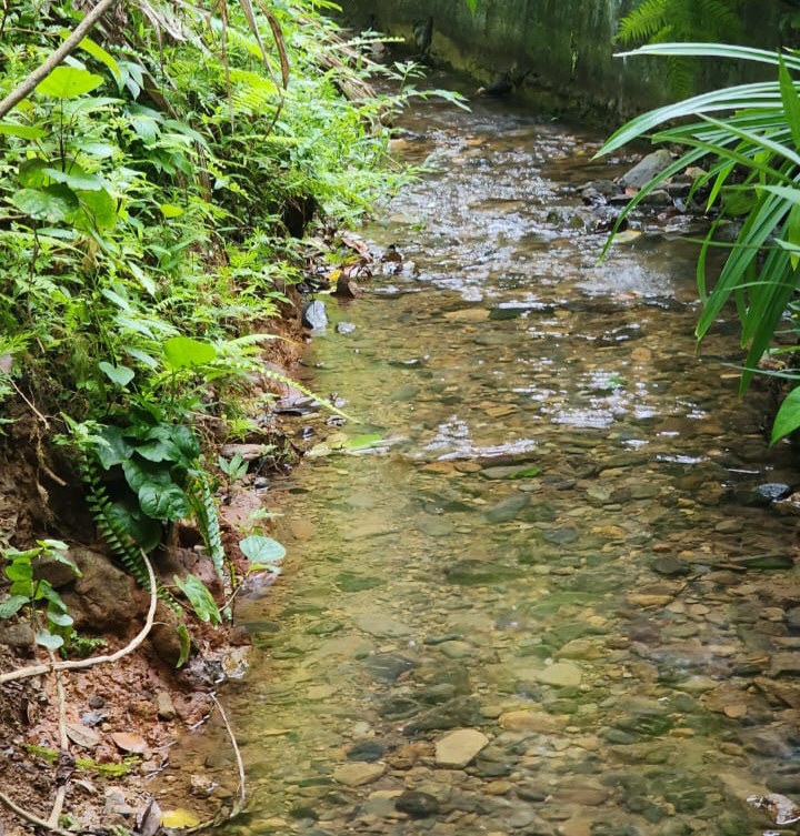 Foto anak sungai yang menjadi ancaman terhadap pekuburan dan rumah warga