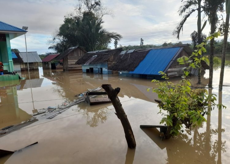 Kondisi Dayah Babul Muarif Sirajulhua Alamiah, Gampong Kuala Manyeu Kecamatan Panton Reu, Aceh Barat Selasa (21/11/2023) Foto/ist