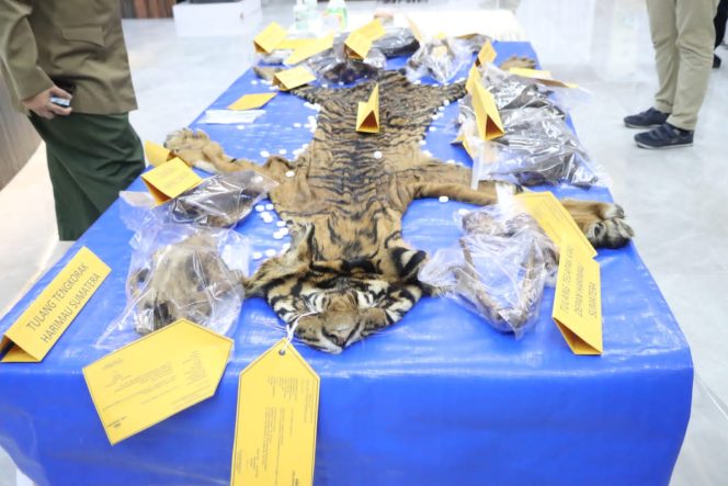 
					Polda Aceh Ungkap Kasus Perdagangan Satwa, Satu Oknum ASN dan Anaknya Diamankan Polisi