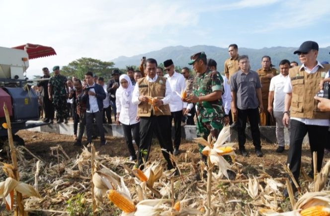 
					Novi Helmy Prasetya Menjadi Pangdam Terbaik di Bidang Ketahanan Pangan