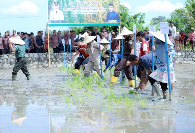 
					Pemkab Nagan Raya Terima 41 Unit Pompa Air dari Kementrian Pertanian, Ini Tujuannya