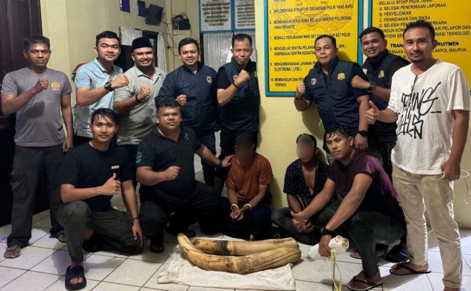 
					Kedapatan Bawa Gading Gajah, Dua Warga Pidie Digiring ke Polda Aceh 