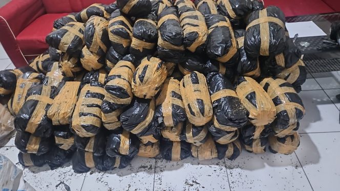 
					Polda Aceh Berhasil Ungkap Kasus Narkotika, 300 Kg Ganja Siap Edar Diamankan