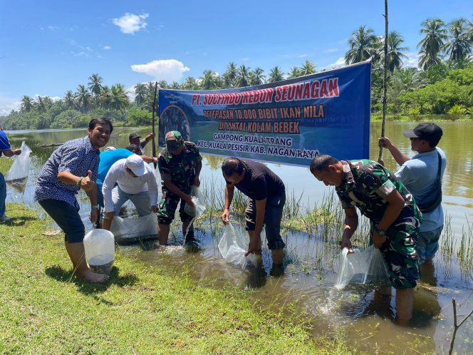 
					Dikemas dengan Halal Bihalal, Pengurus PT Socfindo Seunagan Adakan Pelepasan 10.000 Bibit ikan 