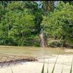 Jembatan gantung di Desa Cot Punti, Woyla Timur Aceh Barat Ambruk diterjang Banjir Jumat (22/11/2024) foto ist
