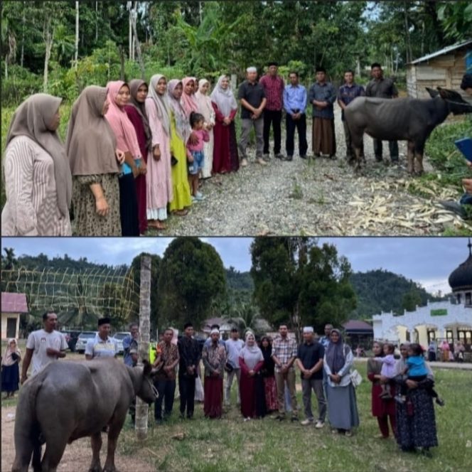 
					Pj. Ketua TP-PKK Aceh Selatan Serahkan Hewan Qurban untuk Masyarakat