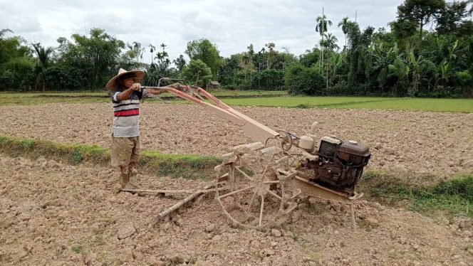 
					Ratusan Hektare Sawah di Nagan Raya Terancam gagal Tanam Akibat Mengalami Kekeringan