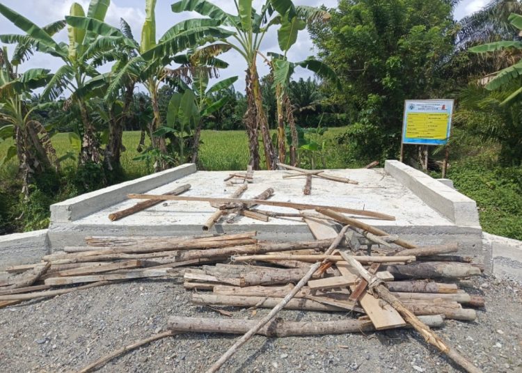 Jembatan untuk para petani di Desa Ujong Patihah, Kecamatan Kuala, Kabupaten Nagan Raya Senin (22/7/2024) foto/dani