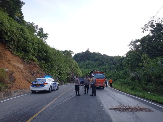 
					Polisi akan Tindak Truk Tangki Penyebab Tumpahan CPO di Jalan 