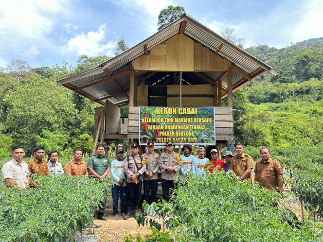 
					Strategi Buang Kebiasaan Lama Tanam Ganja, Polri Berhasil Ajak Masyarakat Tanam Cabe di Beutong Ateuh Banggalang