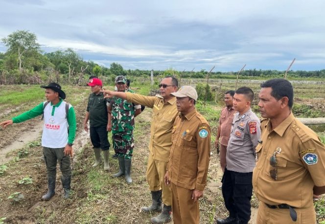 
					Pj. Bupati Aceh Selatan yang Didampingi Kadis Pertanian Tinjau Lahan Pertanian Milik Pemkab di Gampong Baro