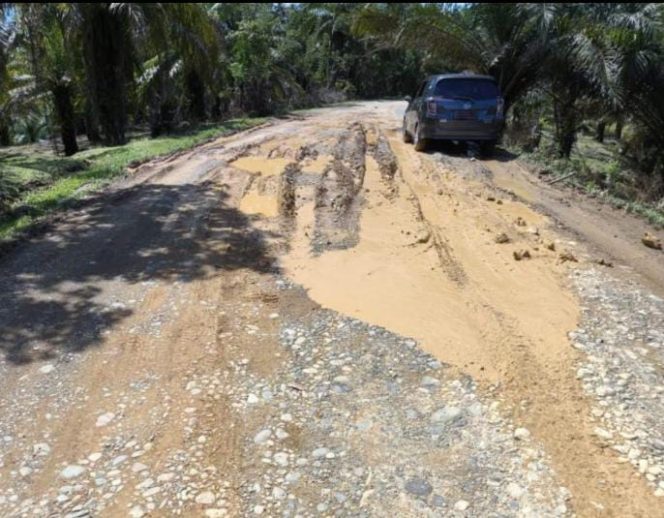 
					Sumber foto IST/ kerusakan jalan Kecamatan Pante Ceureumen, Kabupaten Aceh Barat, Senin (16/12/2024)