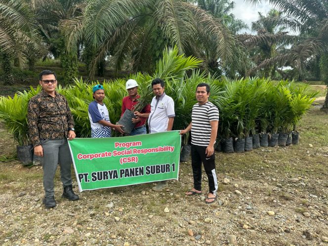 
					Melalui Program CSR, PT Surya Panen Subur 1 Bagikan Seribuan Bibit Sawit untuk Masyarakat 