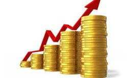 Ilustrasi PAD/Sumber foto : dok.web/int/org