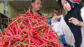 Cabai Merah di Pasar bina usaha Meulaboh,  Kabupaten Aceh Barat /Foto :Dani
