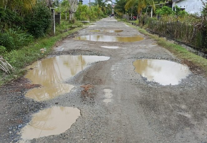 
					Jalan Menuju Objek Wisata Punti, Desa Suak Ribeu, Kecamatan Johan Pahlawan, Kabupaten Aceh Barat, Senin (27/1/2025) (Foto-dani)