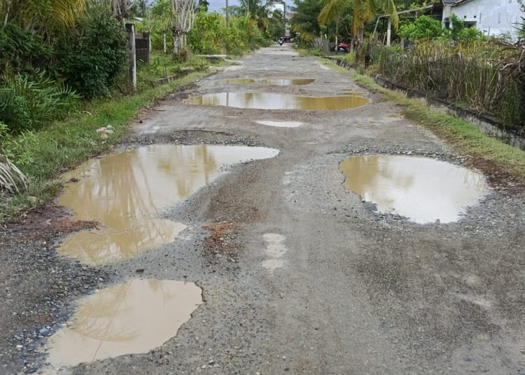 Jalan Menuju Objek Wisata Punti, Desa Suak Ribeu, Kecamatan Johan Pahlawan, Kabupaten Aceh Barat, Senin (27/1/2025) (Foto-dani)