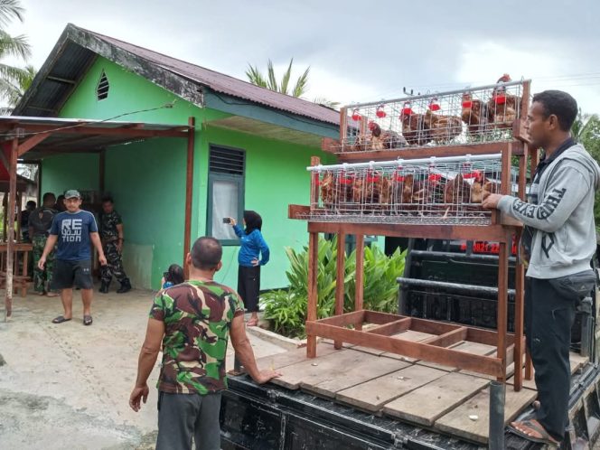 
					Koramil 1802-06/Klamono Tingkatkan Ketahanan Pangan Melalui Budidaya Ayam Petelur