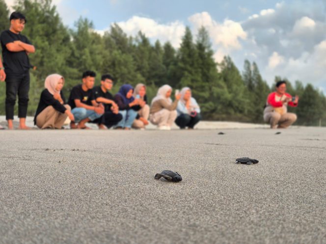 
					Peringatan HPN ke 79, DPD SWI Aceh Barat Gelar Relexing Family dan Pelepasan Penyu
