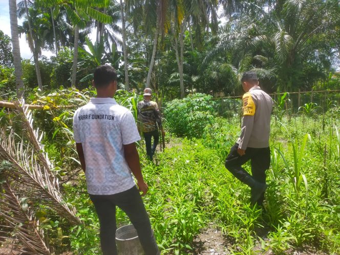 
					Dukung Program Astacita Presiden, Personil Polsek Seunagan Melakukan Pengecekan Lahan Ketahanan Pangan