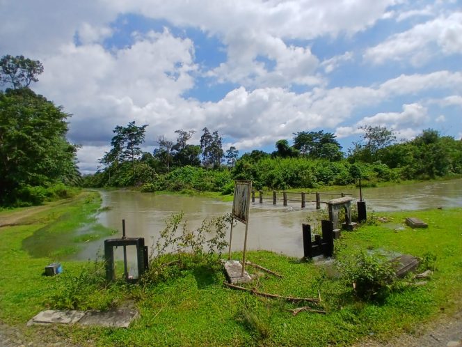 
					Hujan Semalaman Sebabkan Banjir Rusak Persawahan Warga