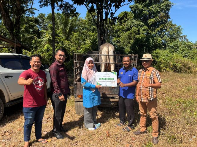 
					Jelang Hari Raya Qurban, PT BEL Kembali Serahkan Sapi Untuk Wartawan Nagan Raya