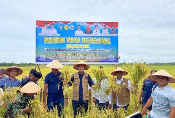
					Komitmen Dukung Ketahanan Pangan, Bupati Mirwan Turun Langsung Kesawah