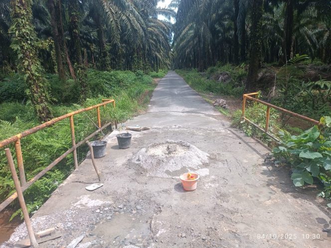 
					Respon Permintaan Masyarakat, PT Socfindo Seumanyam Rehabilitasi Jembatan Alue Pungkie