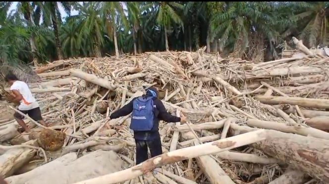 
					Selamat dari Terjangan Banjir, Korban Bencana di Tamiang Didera Berbagai Penyakit