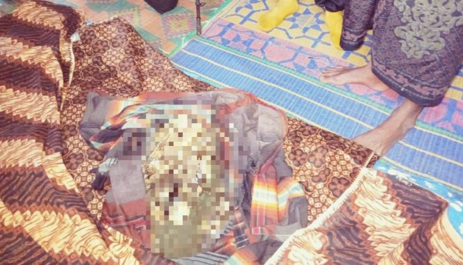 
					Warga Krueng Seumayam ditemukan Meninggal di Hutan, Dugaan di Terkam Harimau