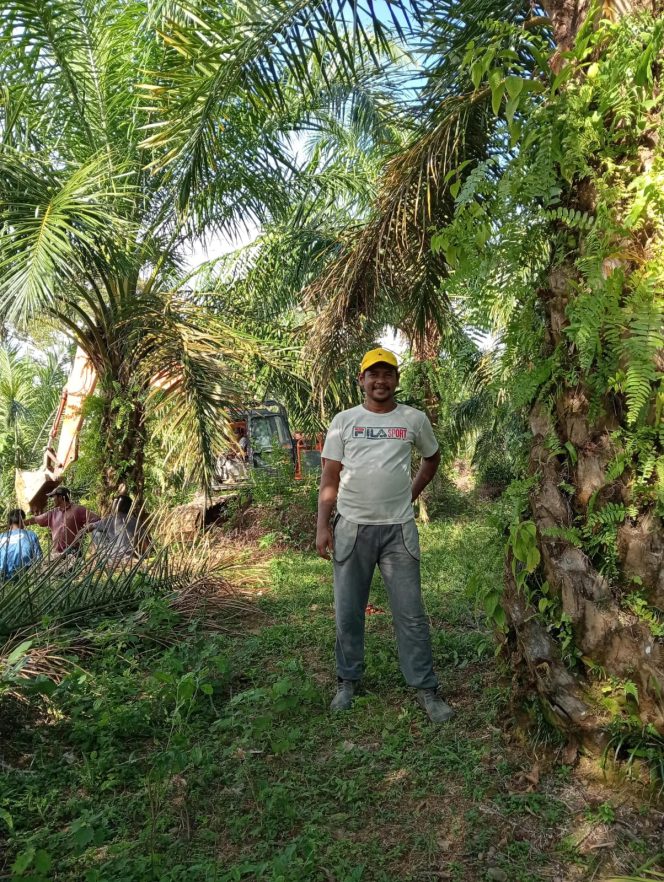
					Petani Sawit Mengapresiasi Ketegasan Bupati Dalam Menjaga Stabilitas Harga Tandan Buuah Begar (TBS) di Nagan Raya