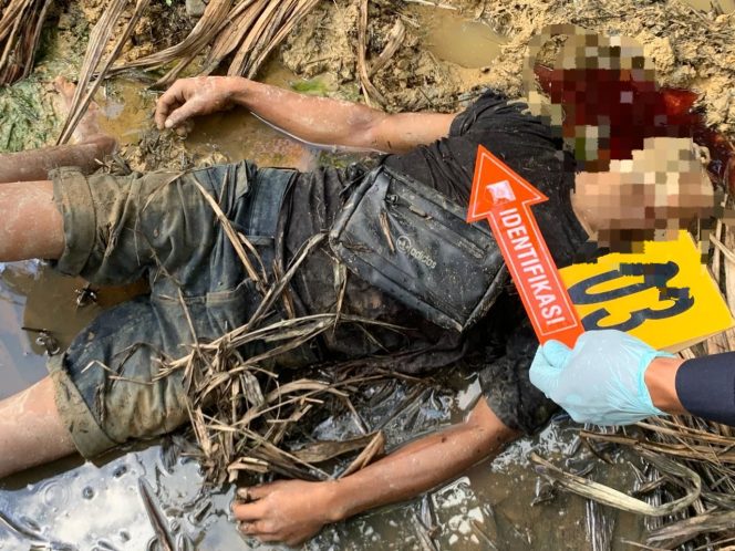 
					Warga Nagan Raya dihebohkan Penemuan Mayat Pria di Areal Perkebunan Sawit 