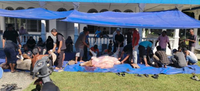 
					Manajemen PT Socfindo Seunagan Salurkan Delapan Sapi Qurban, Turut Bergotong Royong Bersama Masyarakat 