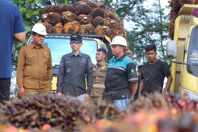 
					Komitmen Beli TBS di Harga Rp3000 Perkilogramnya Belum Terwujud, Bupati Aceh Barat Sidak ke Pabrik Kelapa Sawit